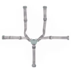 BÉABA Autres Pièces Détachées*Harnais 5-points Evolu - Menthe