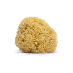 BÉABA Désinfectants Et Nettoyants*Éponge en fibre naturelle